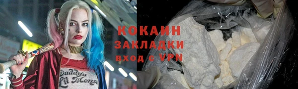 стафф Алзамай