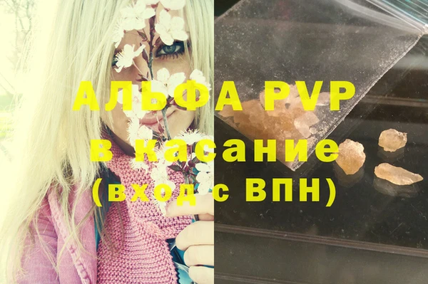 стафф Алзамай
