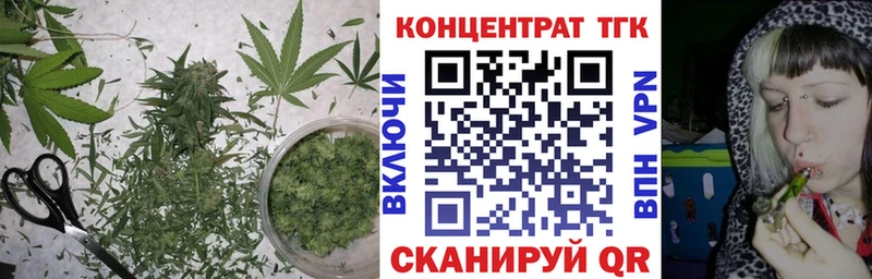 ТГК жижа  Стародуб 