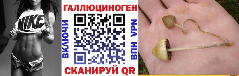 Галлюциногенные грибы Magic Shrooms Стародуб